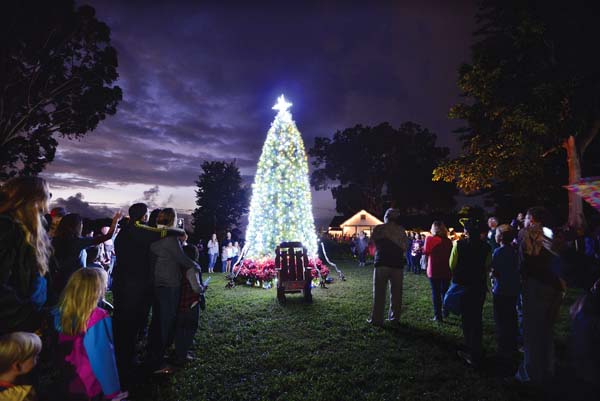 Holiday tree lighting • Saturday